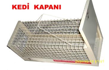 Kedi Kapani Ultrasonik